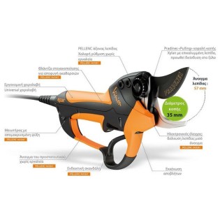 evasiliougr vinion 1